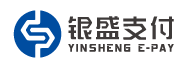 银盛支付